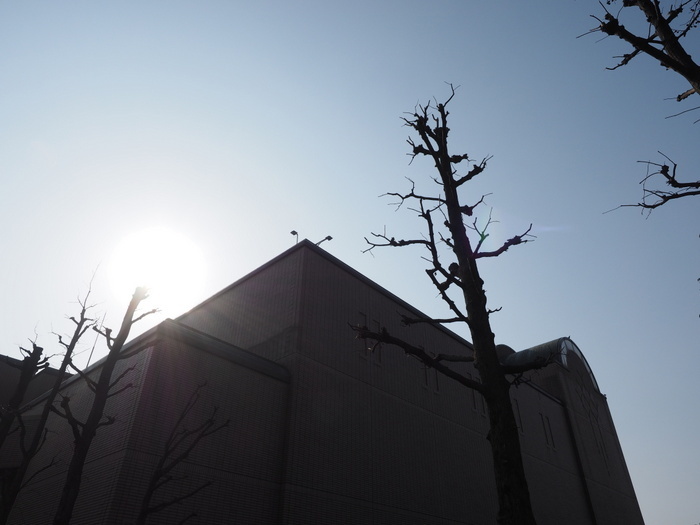 佐伯区民文化センター&五日市中央公園_c0116915_22422713.jpg