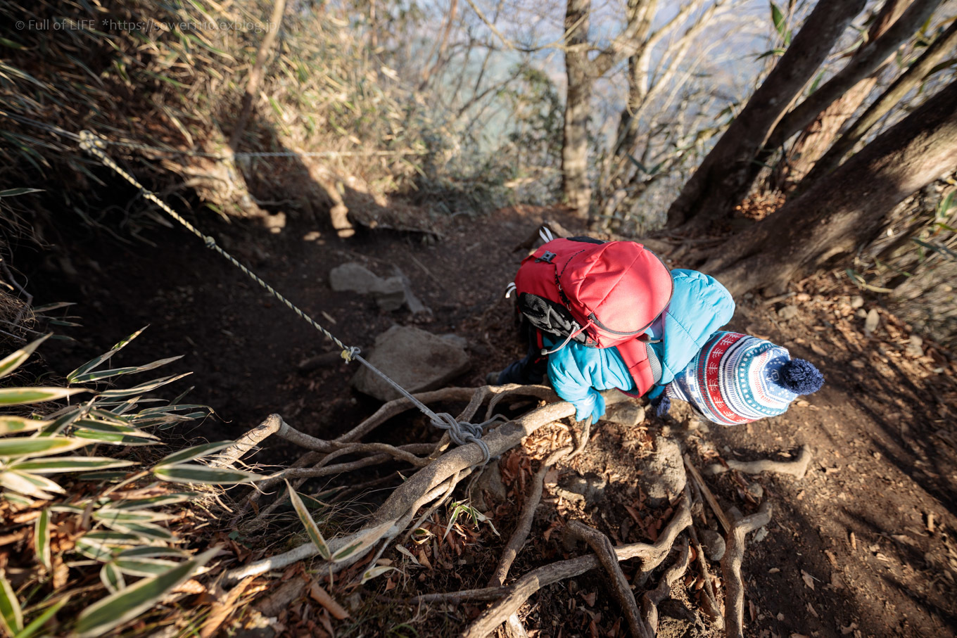 ちびっ子たちのリベンジ登山「金時山」下山編_c0369219_14390287.jpg