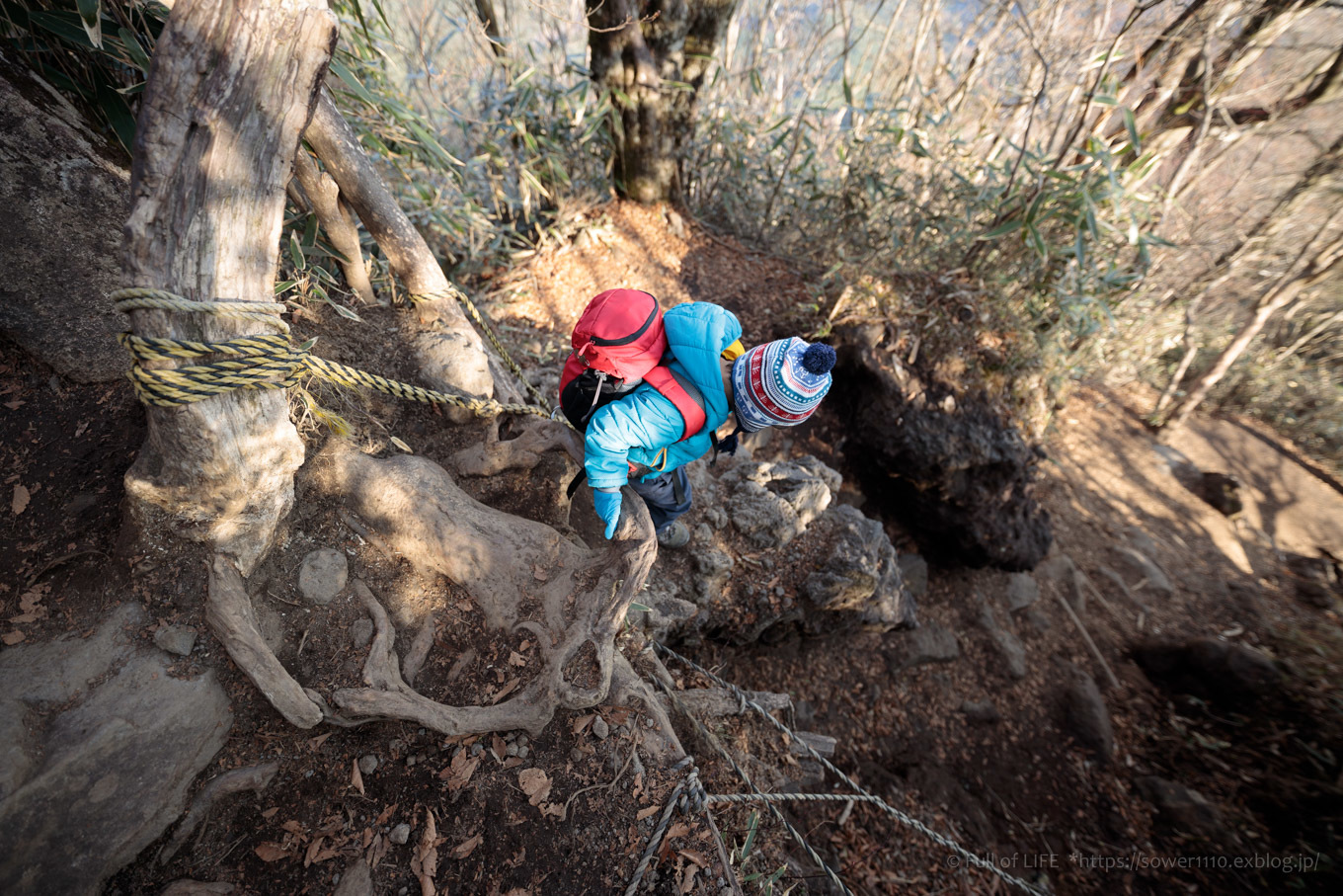 ちびっ子たちのリベンジ登山「金時山」下山編_c0369219_14434005.jpg