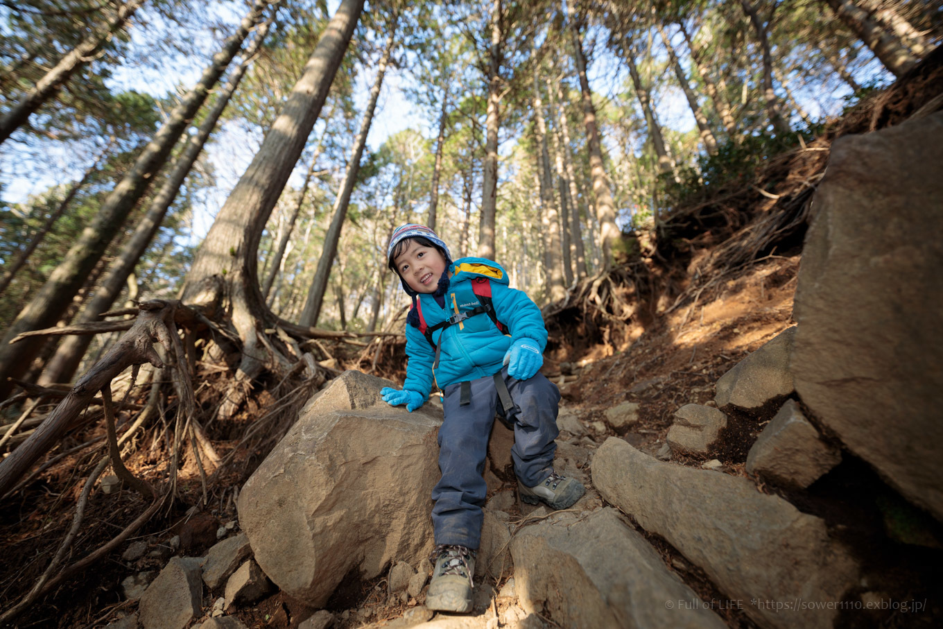 ちびっ子たちのリベンジ登山「金時山」下山編_c0369219_15450451.jpg