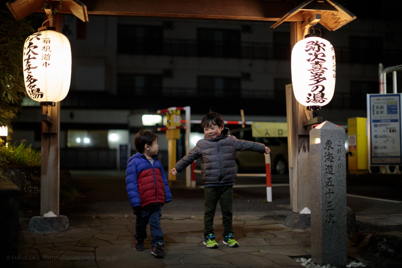 ちびっ子たちのリベンジ登山「金時山」下山編_c0369219_16161818.jpg