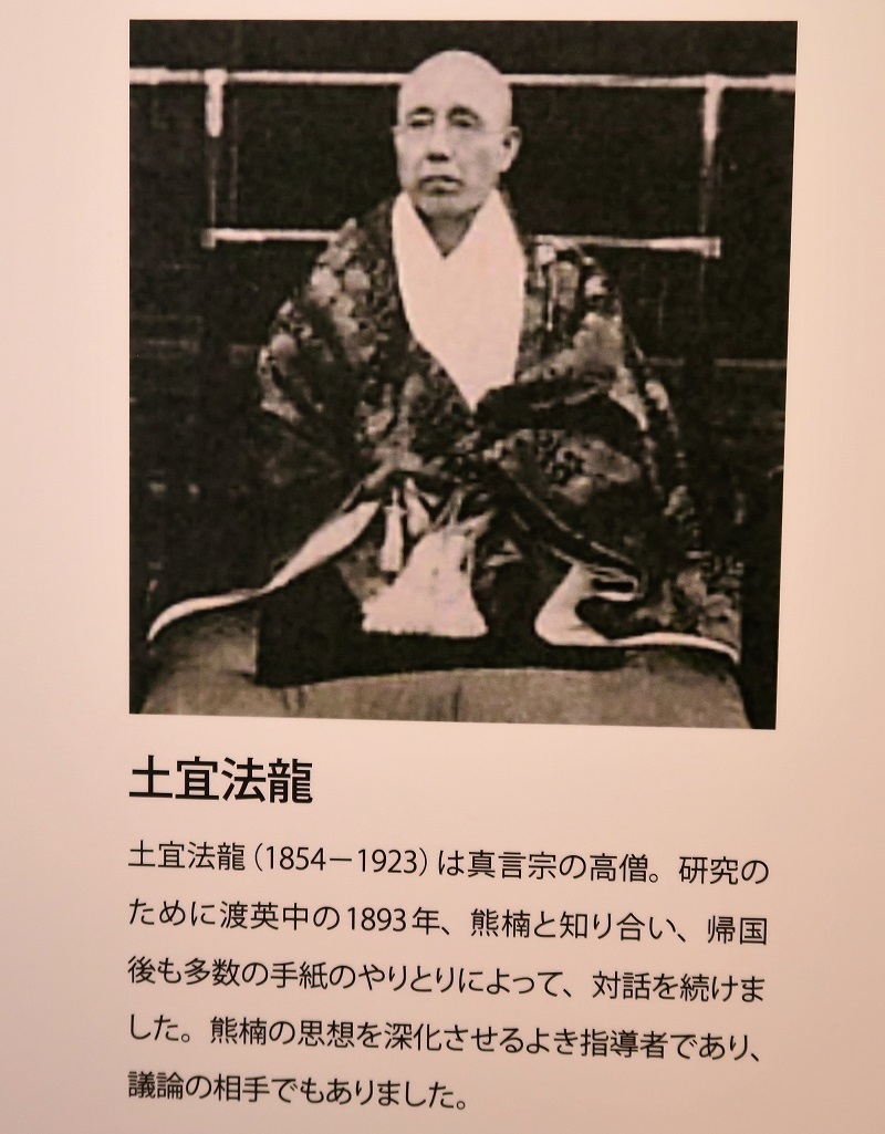 望桜荘を大谷石で飾る_f0076731_20511972.jpg