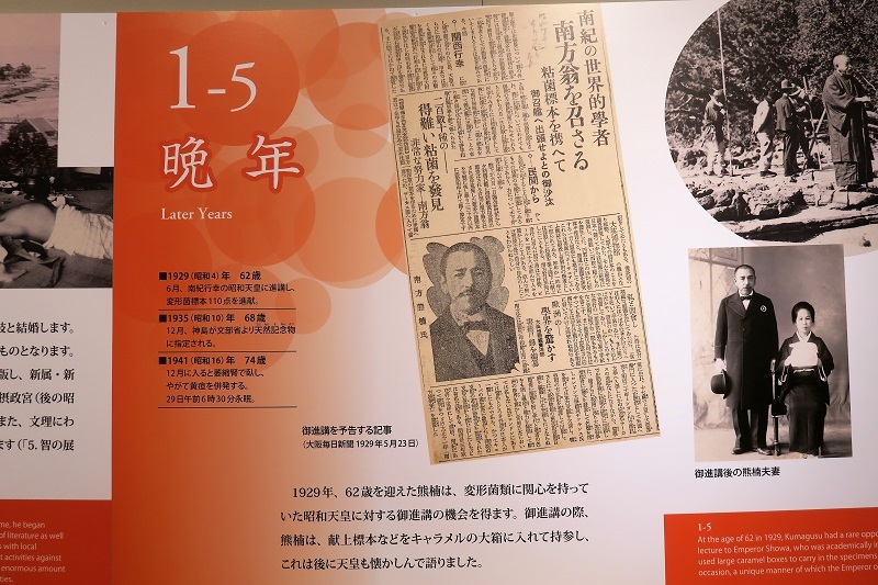 望桜荘を大谷石で飾る_f0076731_20512601.jpg