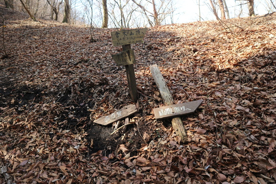 e0272335_1813494.jpg