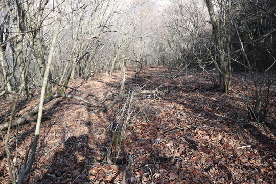 e0272335_18571520.jpg