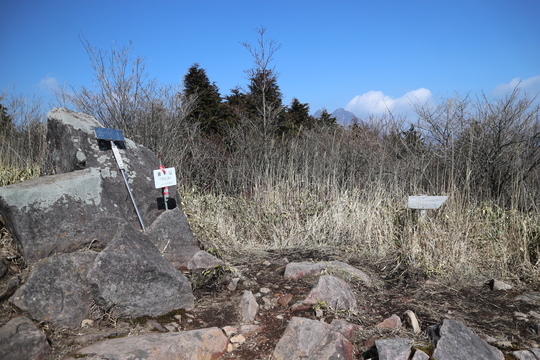 e0272335_1881631.jpg