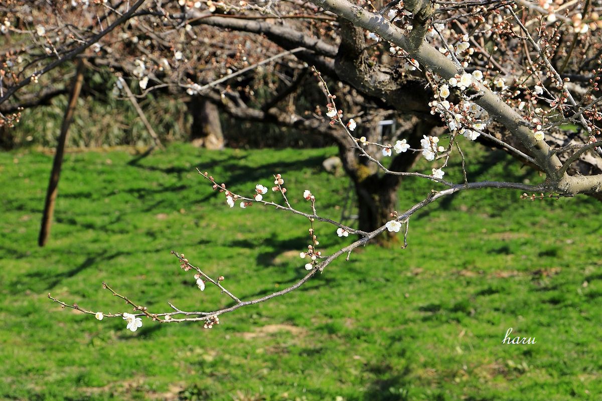 f0297537_18170050.jpg