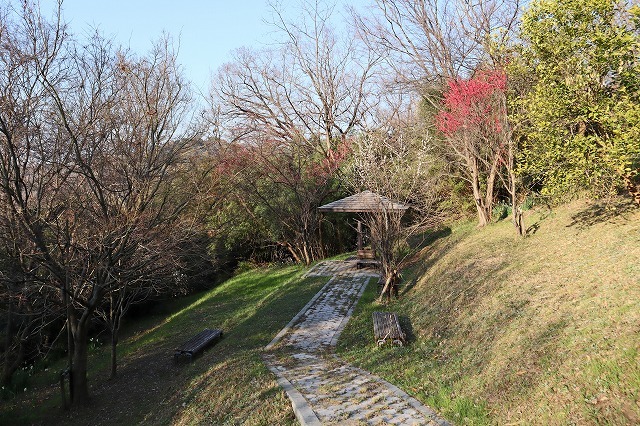 a0242438_20412000.jpg