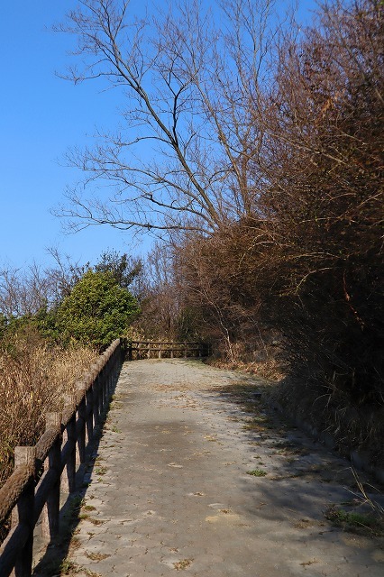 a0242438_20412033.jpg