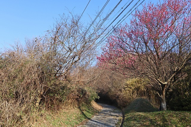 a0242438_20412083.jpg