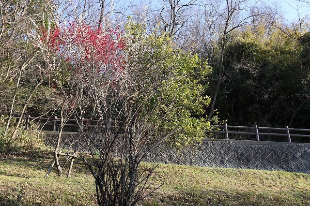 a0242438_20412159.jpg