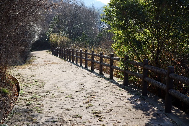 a0242438_20415998.jpg