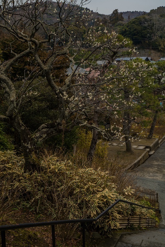 鎌倉～北鎌倉・東慶寺_e0363038_18174354.jpg