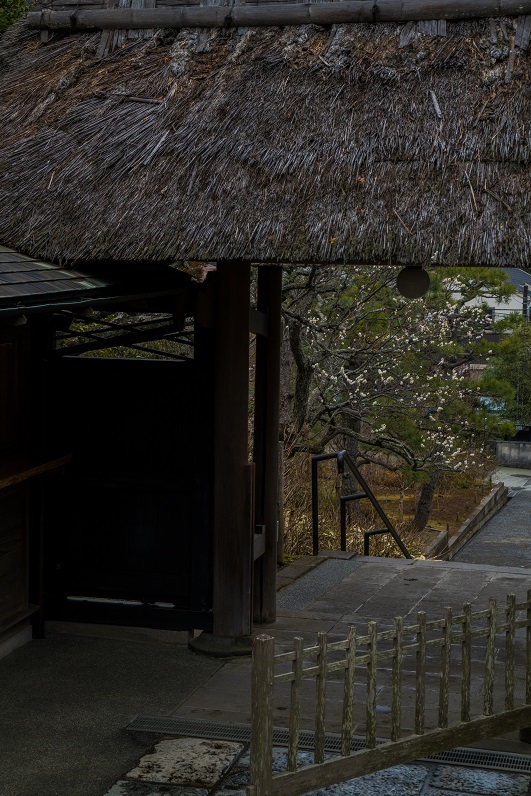 鎌倉～北鎌倉・東慶寺_e0363038_18174779.jpg