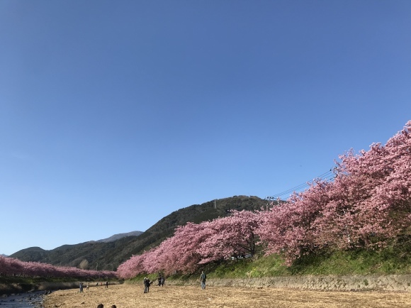 c0209240_23160234.jpeg