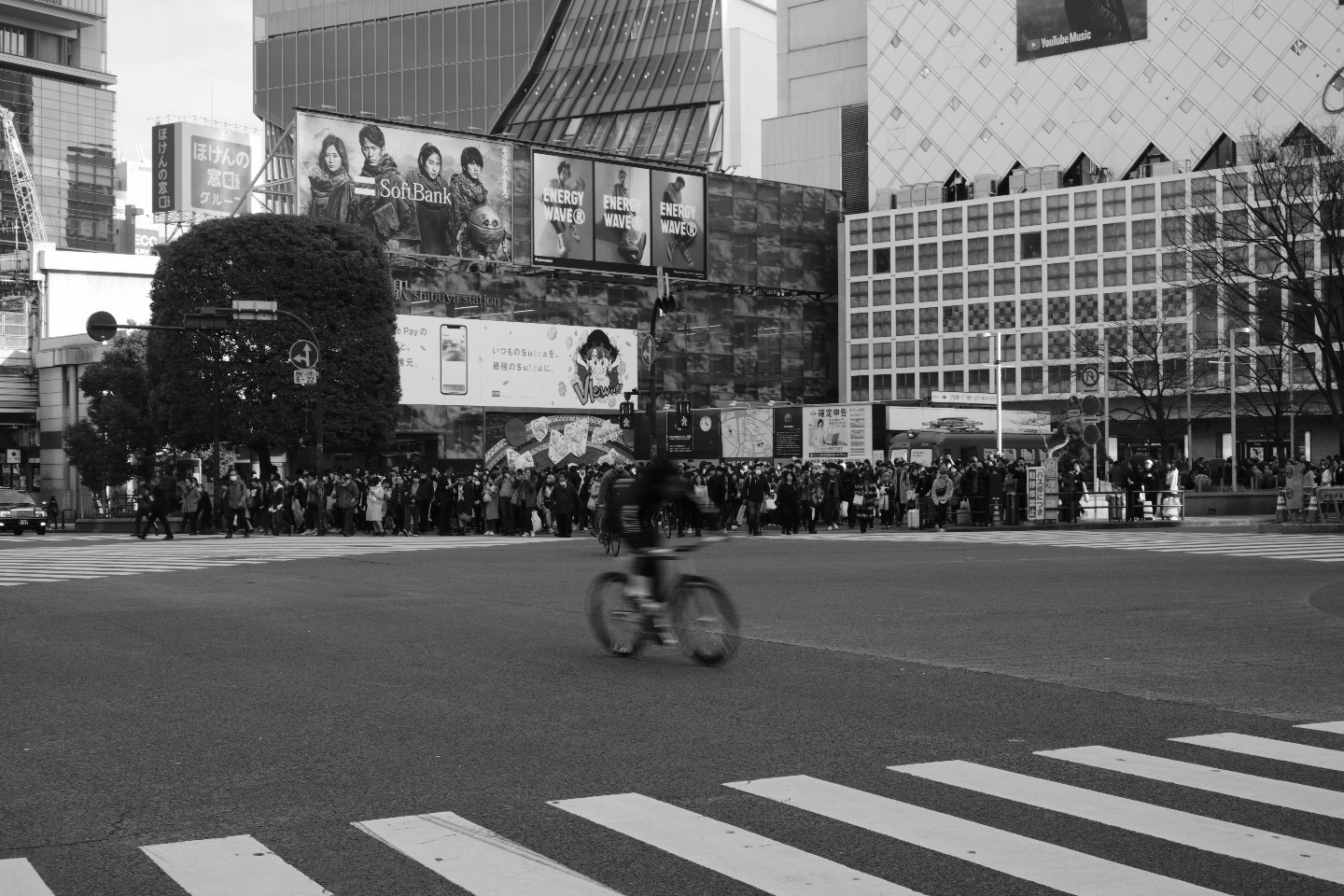 b0315547_23481876.jpeg
