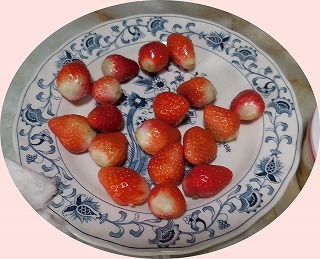 c0203348_10035111.jpg