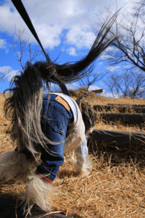 c0145250_09055850.gif