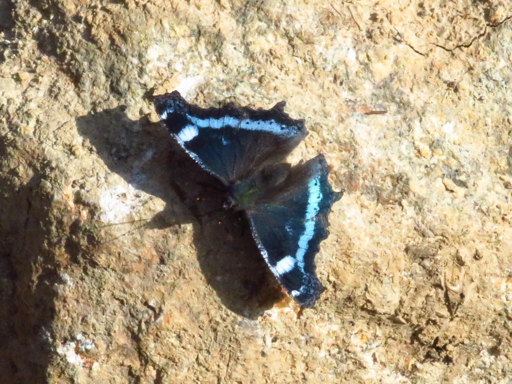 a0018655_09105047.jpg