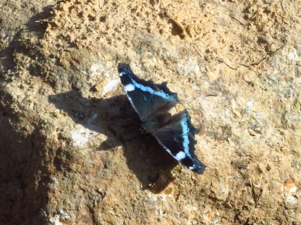 a0018655_09105048.jpg