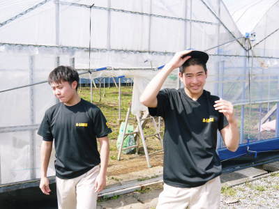 熊本ぶどう 社方園 ぶどうの果樹の目覚め!ハウスの内張りと熊本農業高校からの農業実習(2019)後編_a0254656_17224739.jpg