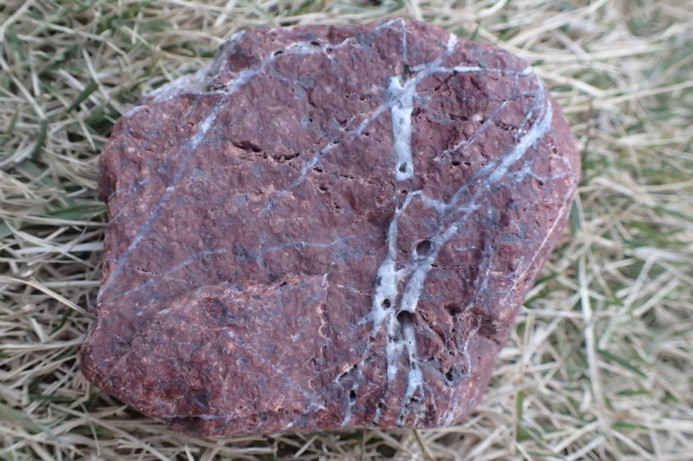 d0171959_22042847.jpg