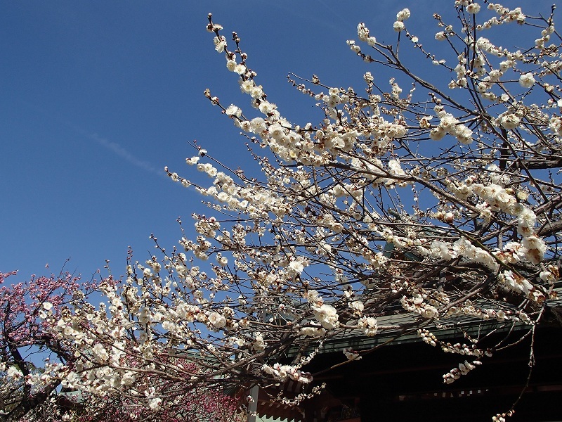 b0044663_23252631.jpg