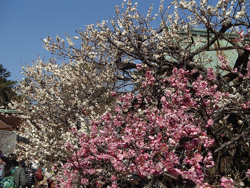 b0044663_23260865.jpg