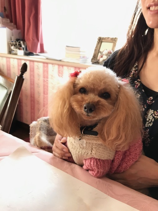 a0241377_07443235.jpeg
