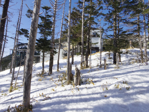 坪庭から山麓駅まで下りてみた（2/21）_c0051781_01135108.jpg