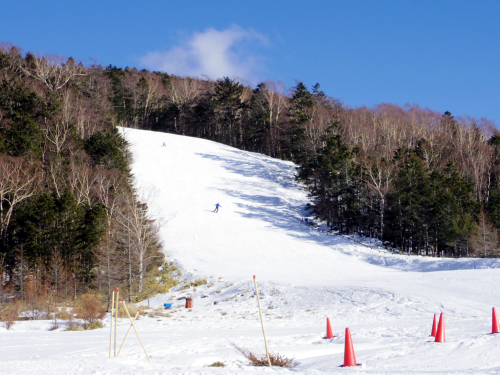 坪庭から山麓駅まで下りてみた（2/21）_c0051781_23263376.jpg