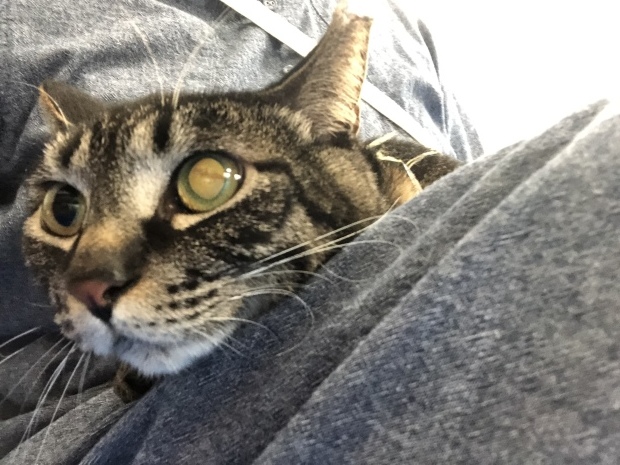 b0377882_16055396.jpeg