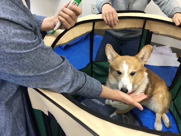 b0377882_16061089.jpeg