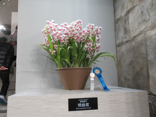 a0185783_17384239.jpg