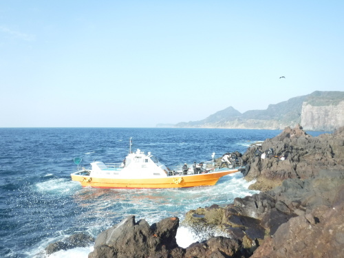 CM の島へ釣行_d0195183_02371773.jpg