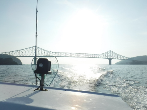 CM の島へ釣行_d0195183_08185259.jpg