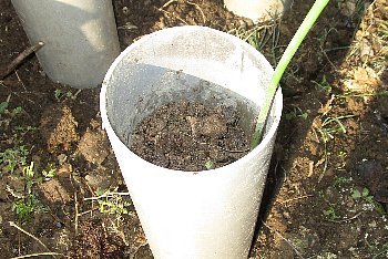f0003283_18114365.jpg