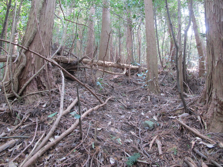 立石城山を登る　2019.2.26（火）_a0166196_214944100.jpg