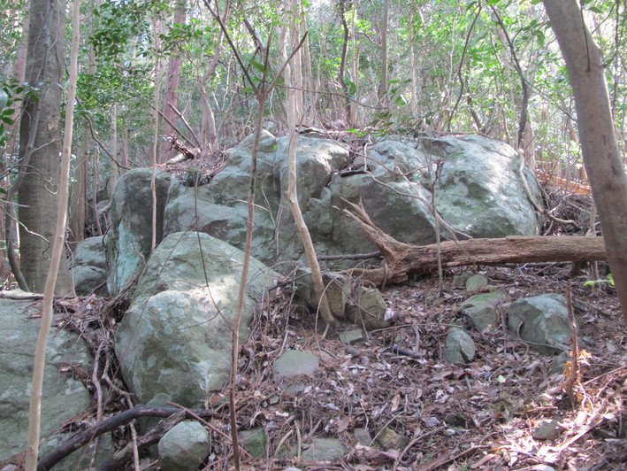 a0166196_21501310.jpg