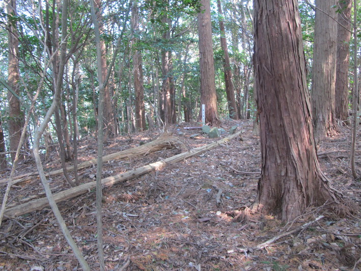 立石城山を登る　2019.2.26（火）_a0166196_2152616.jpg