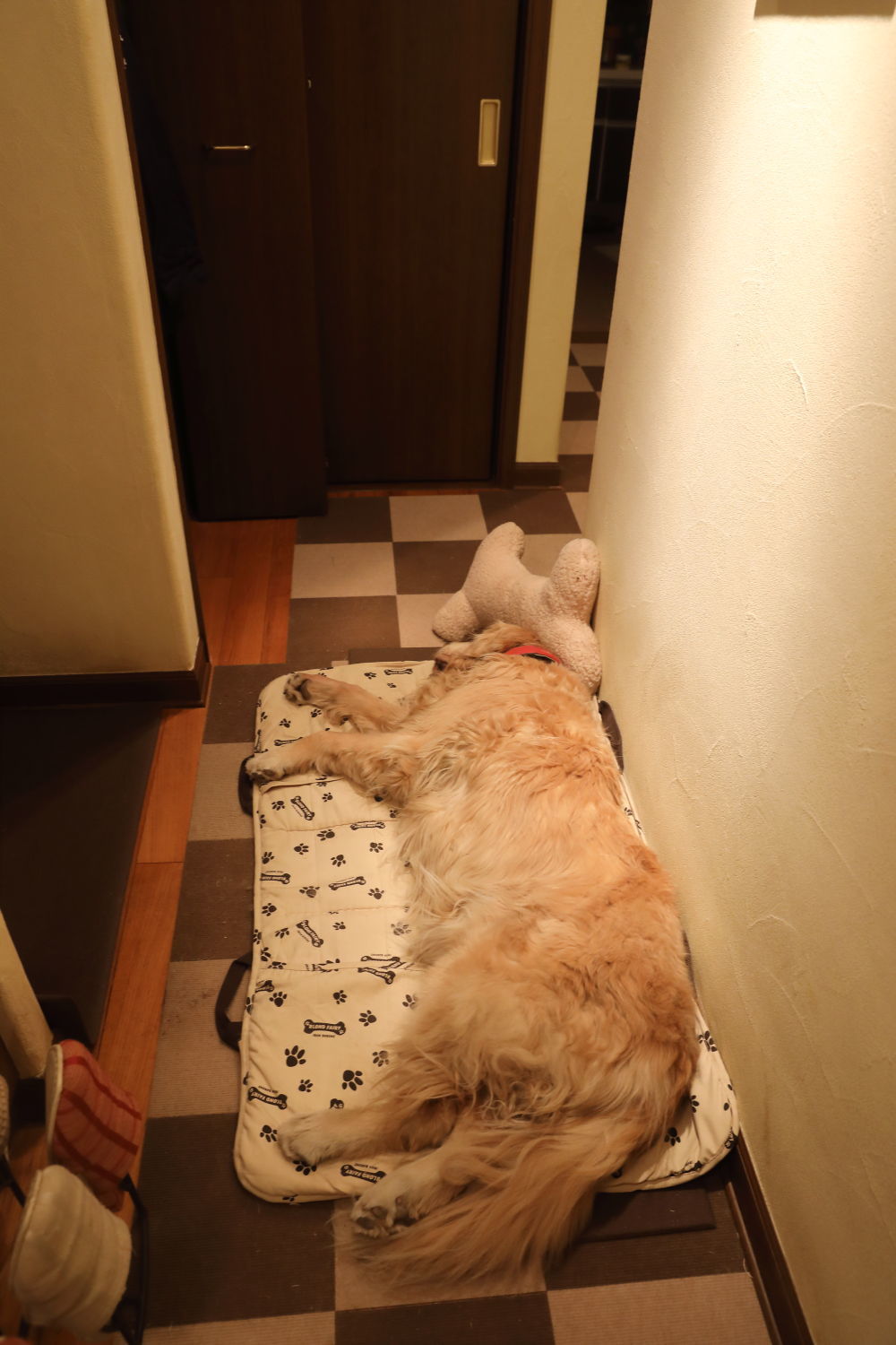 よく頑張った2月21日_b0275998_10313289.jpg
