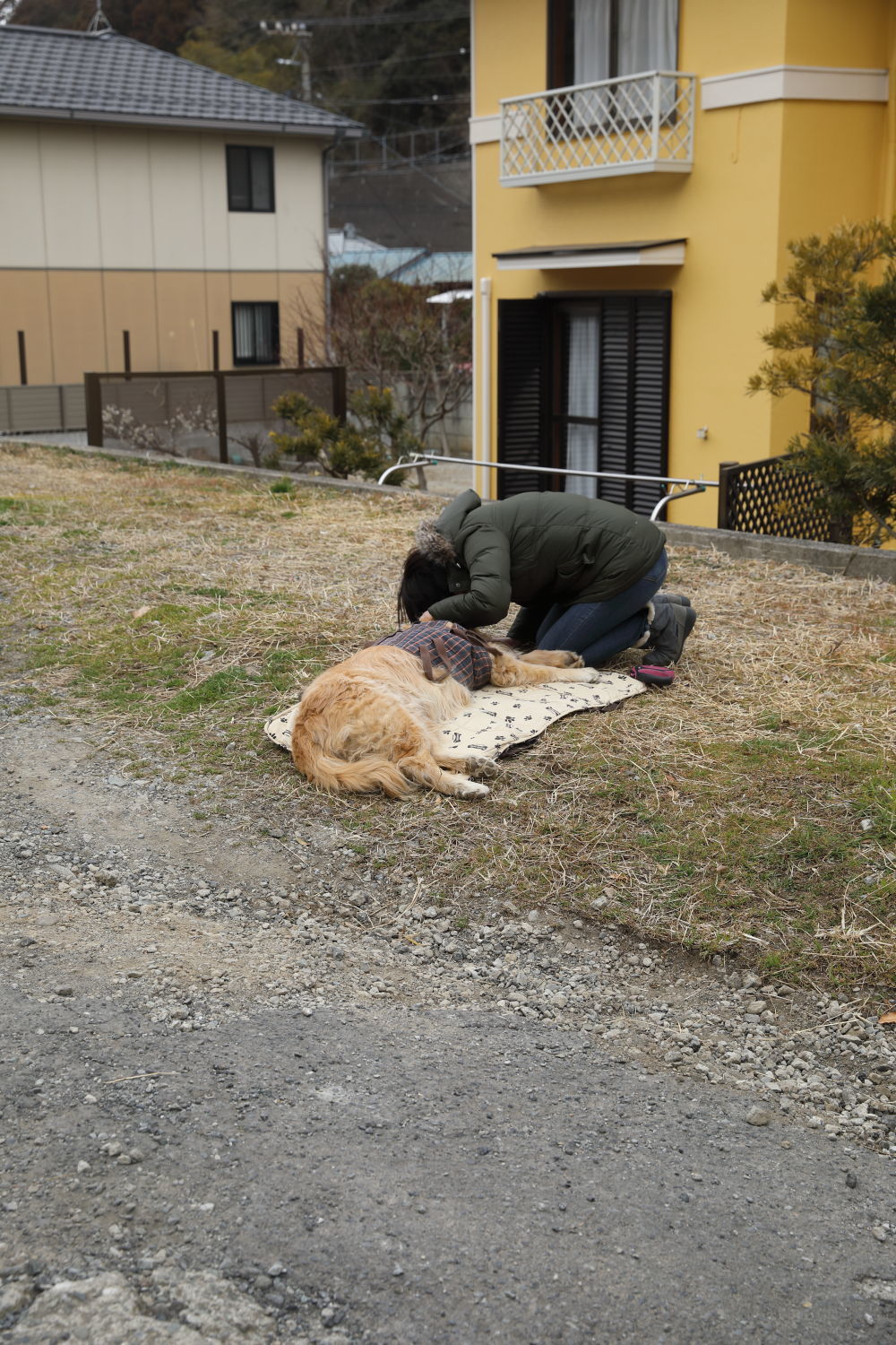 よく頑張った2月21日_b0275998_10320460.jpg