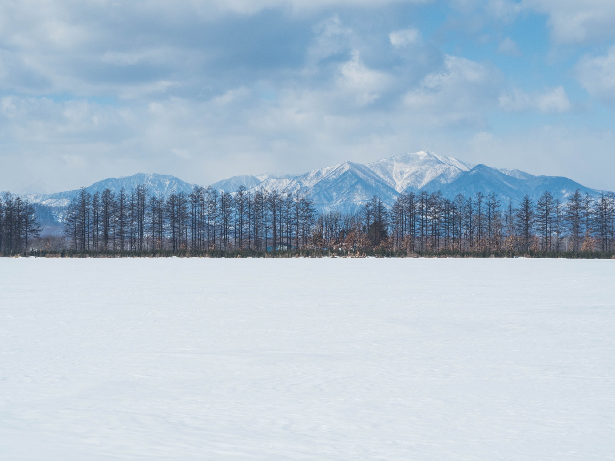 2月だけど春っぽい?中札内村とその周辺ツアー_f0276498_23565114.jpg