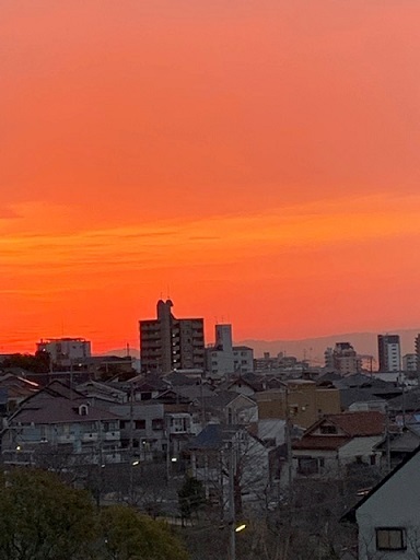 a0114314_07365057.jpg