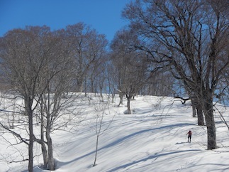 雪を求めて白川村へ…②有家ケ原_c0359615_22184842.jpg