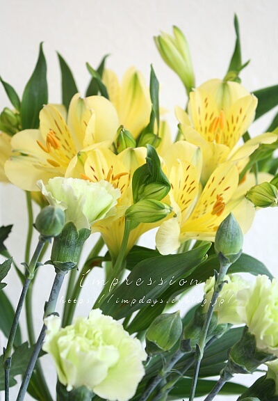 先週の定期装花から　アルストロメリア：メローイエロー_a0085317_15470353.jpg