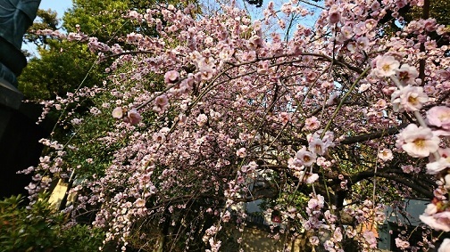 d0060425_22561629.jpg