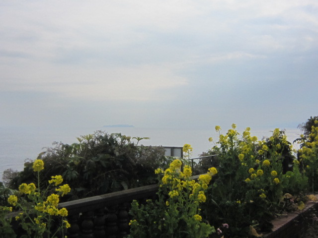 d0162225_09265308.jpg