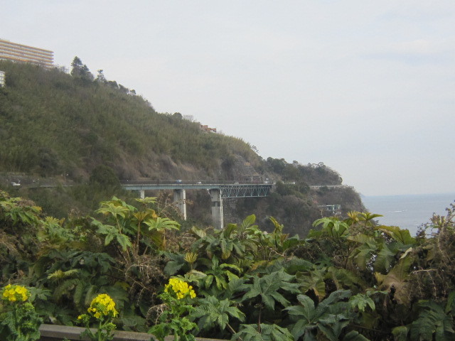 d0162225_09271311.jpg
