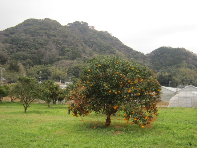 d0162225_09312526.jpg